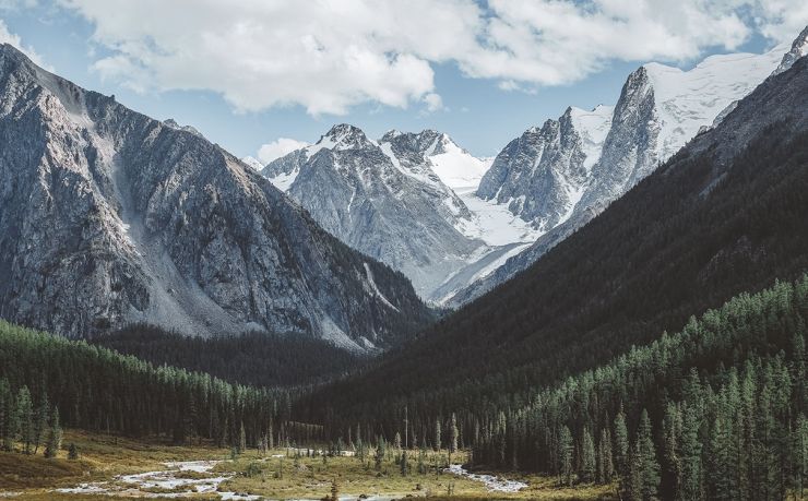 办理移民法国的中介公司